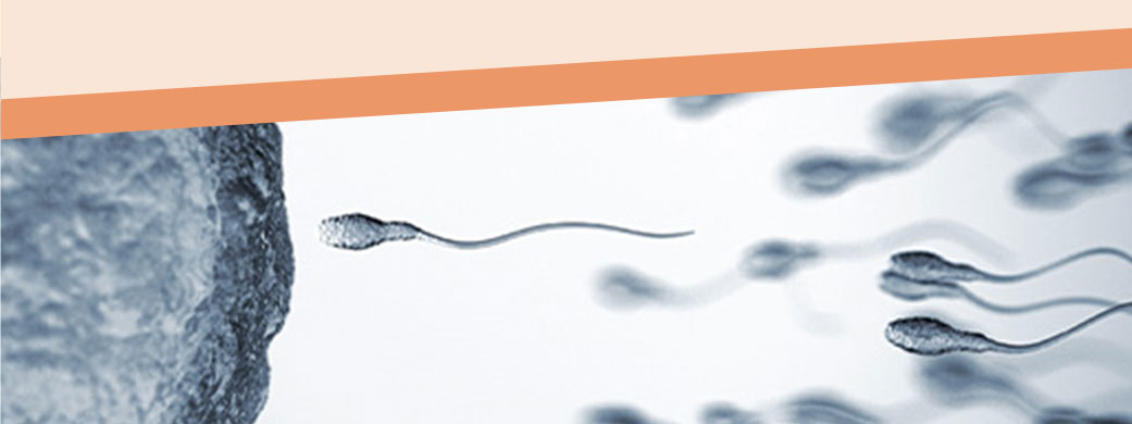 INTRAUTERIN INSEMINATION(IUI)